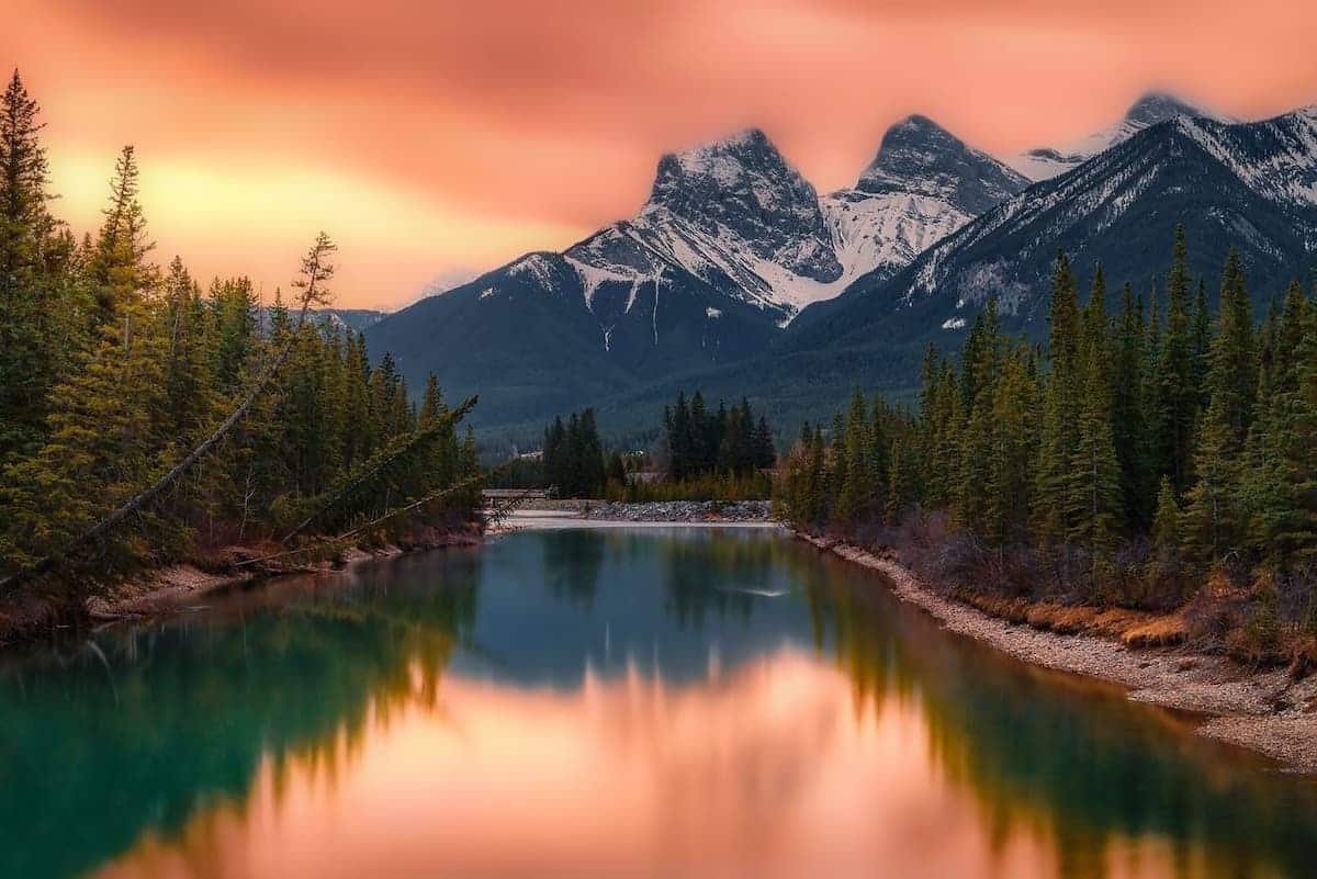 Alberta updates worker expression of interest policy, issues refunds to…